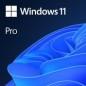 Win 11 Pro 64Bit Eng Intl 1pk DSP OEI DVD FQC-10528