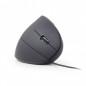 MOUSE GEMBIRD- PC sau NB- cu fir- USB- optic- 3200 dpi- butoane/scroll 6/1- ergonomic- negru- MUS-ERGO-01 TV 0.18lei)