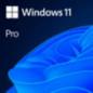 Win 11 Pro 64Bit Romanian 1pk DSP OEI DVD FQC-10546