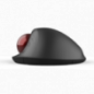 MOUSE DELUX- trackball- wireless- 2.4GHz + BT5.0- USB- optic- 4000 dpi- butoane/scroll 5/1- negru- MT1DB-BK TV 0.18lei)