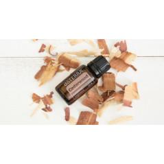 Essential oil doTERRA Cedarwood (Cedru) 15ml