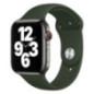 Apple Watch 44mm Band: Cyprus Green Sport Band - RegularSeasonal Fall 2020)- mg433zm/a
