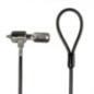 Lindy Laptop Security Cable 2m LY-21150 LY-21150
