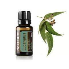 Ulei esential doTERRA Eucalyptus (Eucalipt) 15ml