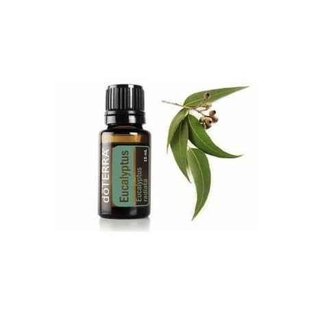 Ulei esential doTERRA Eucalyptus (Eucalipt) 15ml