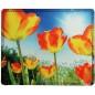 Mouse pad, diverse imprimeuri - 220x180 mm