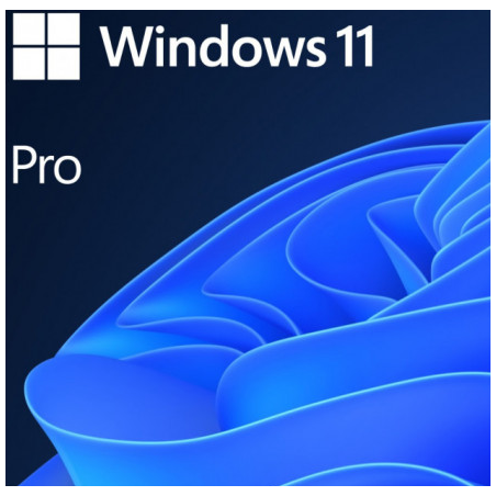 SW WIN PRO N 11 64-BIT ALL LNG PK LIC ONLINE DWNLD NR MS FWC-03370