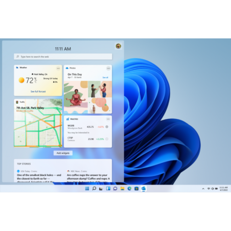 WIN 11 HOME FPP P2 32-bit/64-bit RO USB HAJ-00118