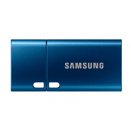 SAMSUNG USB Type-C 256GB 400MB/s USB 31 Flash Drive- MUF-256DA/APCtimbru verde 003 lei)