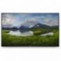 MON 55 4K DELL CONF ROOM P5524Q BLACK S 210-BJKCtimbru verde 7 lei)