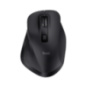Mouse Trust Fyda WS 2400 DPI- negru TR-24727timbru verde 018 lei)
