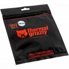 PASTA SILICONICA Thermal Grizzly Thermal Grizzly TG-MP8-100-100-05-1R TG-MP8-100-100-05-1R