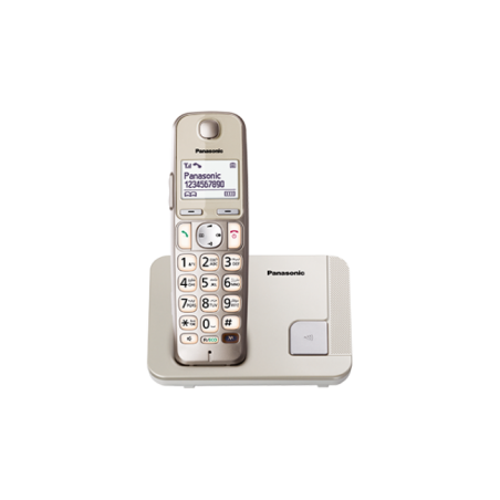 Telefon DECT- argintiu- KX-TGE210FXN- ideal pentru SENIORI KX-TGE210FXNtimbru verde 08 lei)