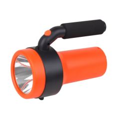 FLASHL CAMP CEIL BTRY COMP FS1 LEDV 000004099854175688timbru verde 200 lei)