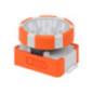FLASHL HEADL RECH FS1 LEDV 000004099854175527timbru verde 200 lei)