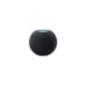 Boxa portabila HomePod Mini Space Grey MY5G2timbru verde 08 lei)
