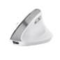 TRUST BAYO II ERGONOMIC WIRELESS MOUSE WHT 25398timbru verde 018 lei)
