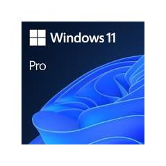 SW OEM GGK WIN 11 PRO 64B/ENG 1PK 4YR-00316 MS 4YR-00316