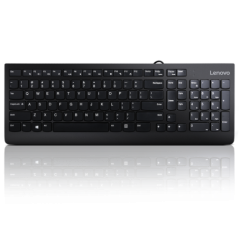 Lenovo 300 USB Keyboard - US English GX30M39655timbru verde 08 lei)
