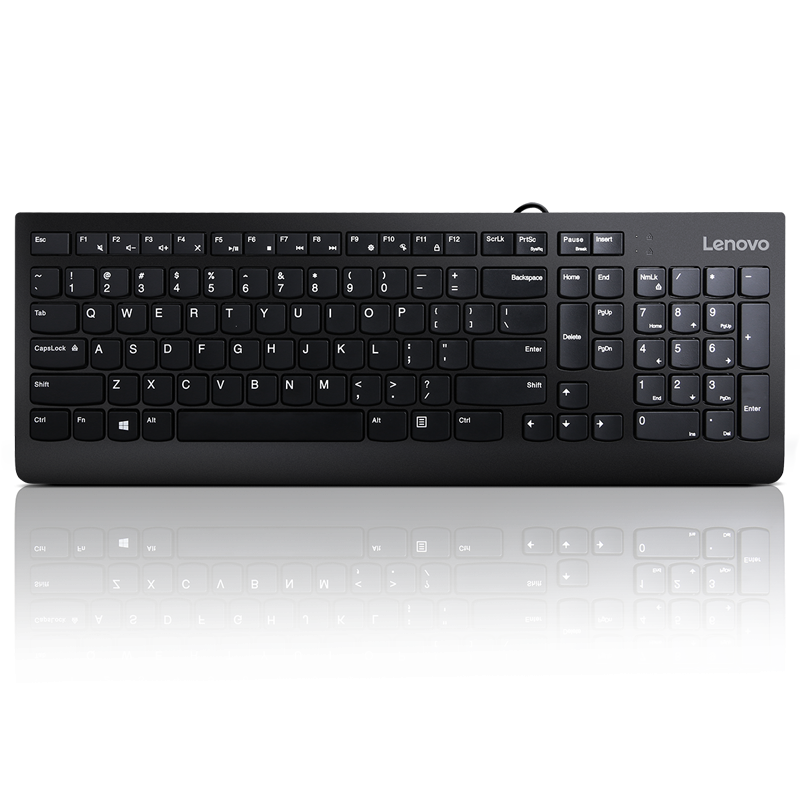 Lenovo 300 USB Keyboard - US English GX30M39655timbru verde 08 lei)