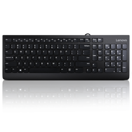 Lenovo 300 USB Keyboard - US English GX30M39655timbru verde 08 lei)