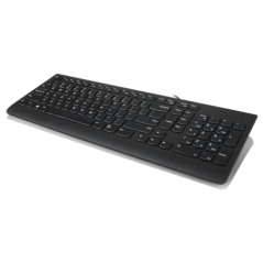Lenovo 300 USB Keyboard - US English GX30M39655timbru verde 08 lei)