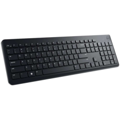 Dell Wireless Keyboard - KB500 - US InternationalQWERTY) 580-AKOO-05timbru verde 08 lei)