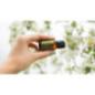 Ulei esential doTERRA Lemongrass (Lamaita) 15ml