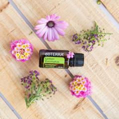 Ulei esential doTERRA Lemon Eucalyptus (Eucalipt citronat) 15ml
